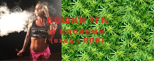 дмт Пестово