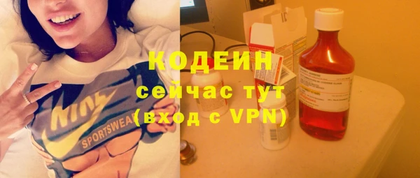 дмт Пестово