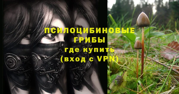 мяу мяу мука Пересвет