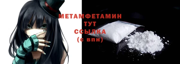 дмт Пестово