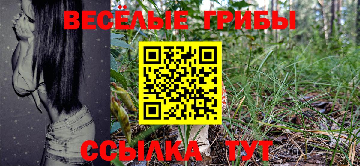Галлюциногенные грибы MAGIC MUSHROOMS  Галлюциногенные грибы мухоморы  Вход с VPN  Кохма 
