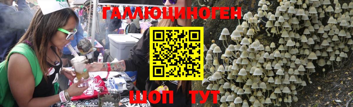 где найти   Кохма  Галлюциногенные грибы Magic Shrooms 