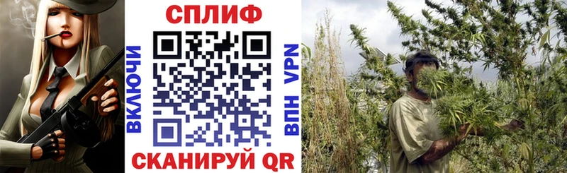 где продают наркотики  hydra онион  Канабис конопля  Кохма 